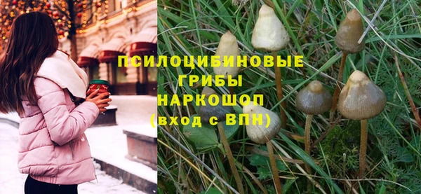герыч Зеленокумск